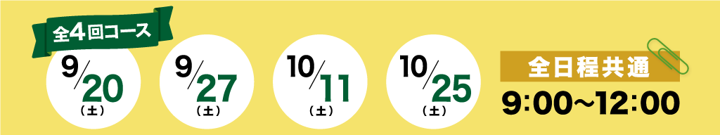 全体スケジュール